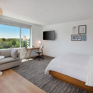 King Studio Sofa Bed City View